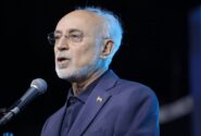 صالحی: الموت را از سایه یک قلعه تاریخی بیرون بیاوریم