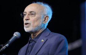 صالحی: الموت را از سایه یک قلعه تاریخی بیرون بیاوریم