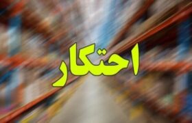 طرح برخورد با گران فروشی و احتکار از امروز آغاز شد