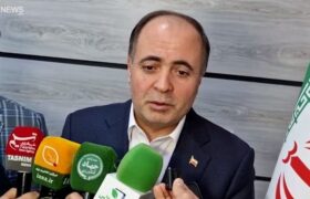 وزیر جهاد کشاورزی: نمی‌توان با سرعت قیمت گندم را آزاد کرد