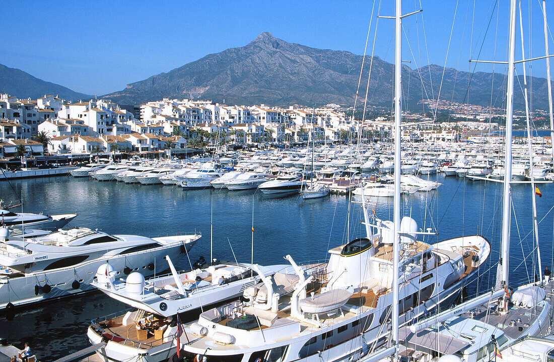 Harbour of Puerto Banus, near Marbella. … – License image – 70119581 ❘  lookphotos