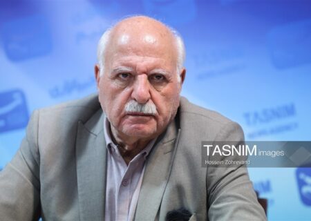 70 سامانه دولتی نفس اصناف را گرفته است