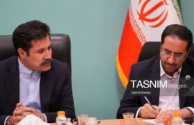 آغاز پایلوت جنگلداری اجتماعی در 250 هزار هکتار جنگل زاگرس