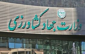 اصلاح ساختار ستادی وزارت جهاد کشاورزی آغاز شد