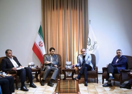 بررسی راهکارهای همکاری سازمان سینمایی و سازمان امور مالیاتی با محور حمایت از سینمای ایران