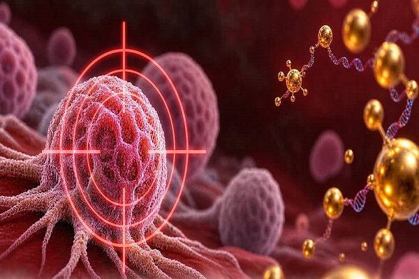 تاثیر مکملهای آرژنین بر شناسایی سلولهای سرطانی