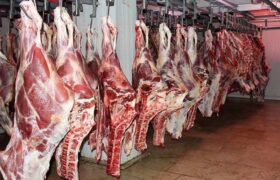 تاکنون مجوز عرضه گوشت اسب و الاغ صادر نشده