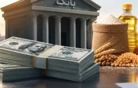 تسهیلات ارزی برای واردات کالای اساسی؛منابع بانکها ازکجا تأمین میشود؟