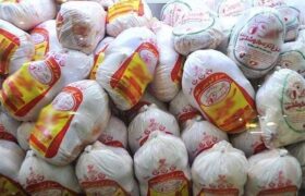 خرید حمایتی مرغ با قیمت 335 هزار تومان آغاز شد
