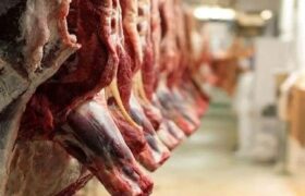 واردات گوشت قرمز با وجود محاصره تنگه هرمز ادامه دارد