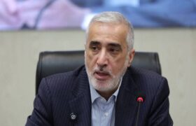 پیرصالحی: نظارت چند سازمانی بر صنعت باید برچیده شود