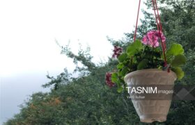 اجرای طرح توسعه گردشگری کشاورزی در 128 روستا کلید خورد