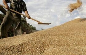 سال زراعی با نرخ نامعلوم و مطالبات معوق؛ کشاورز با چه پولی بکارد؟