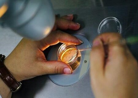 فریز تخمک برای همه زنان مناسب نیست
